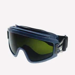 Очки защитные ЗН 11 PANORAMA StrongGlass (5 PC)