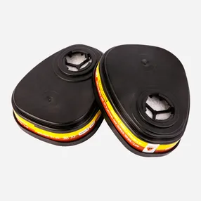 Фильтры от органических и кислых газов AE1 (2 шт.)