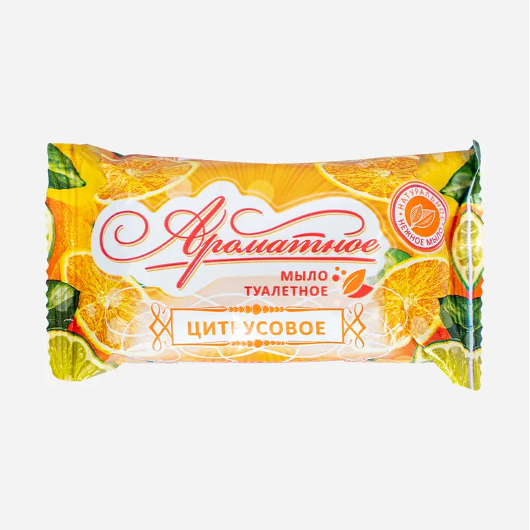 ГК СПЕЦОБЪЕДИНЕНИЕ / Мыло туалетное 100 г.