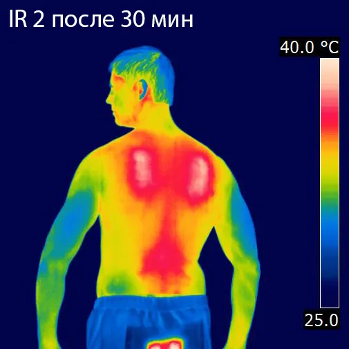Red Laika / Флисовый жилет с подогревом RedLaika RL-05 (синий) унисекс, 3 модуля батарея 4400 мАч