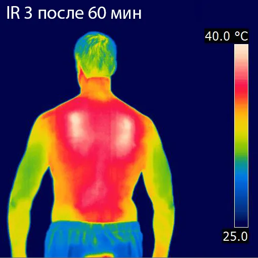 Red Laika / Флисовый жилет с подогревом RedLaika RL-05 (синий) унисекс, 3 модуля батарея 4400 мАч