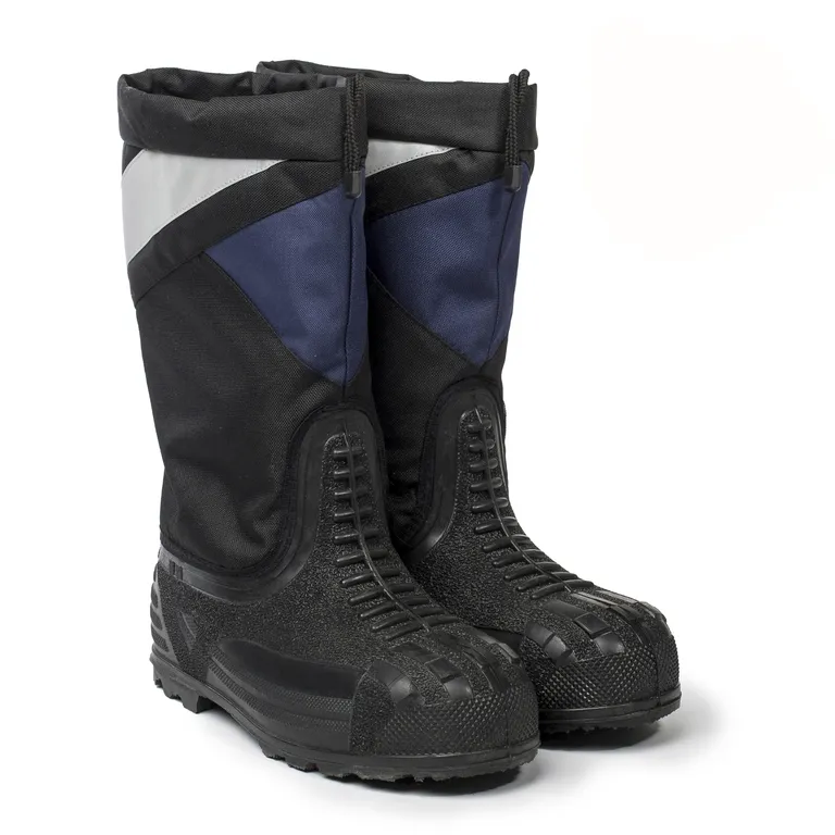 ТЗРО / Сапоги Титан Н