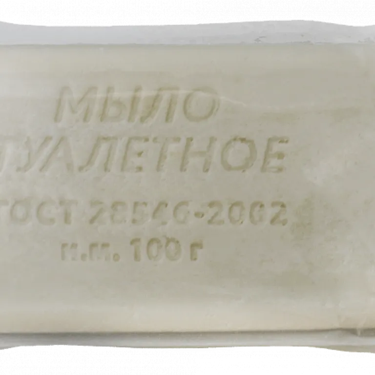 ГК СПЕЦОБЪЕДИНЕНИЕ / Мыло туалетное 100 г. в упак.